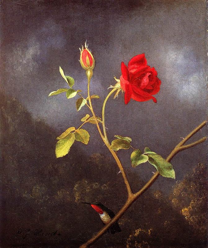 Martin Johnson Heade Red Rose with Ruby Throat